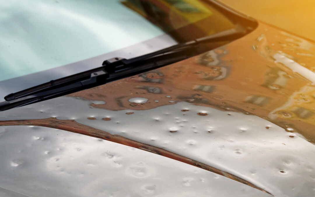 Auto Hail Dents: Hail Damage Repair for Your Vehicle